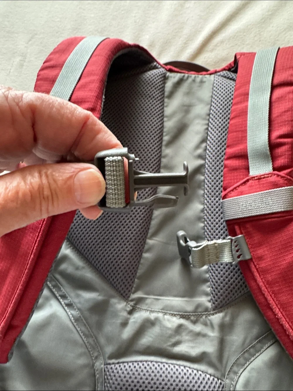 Kelty Roam back pack